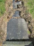 image of grave number 87725